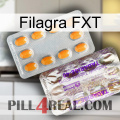 Filagra FXT new12